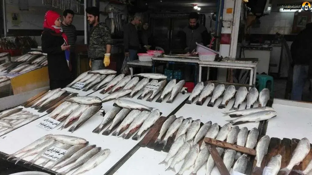 ماهی شمال در بازار روز نوشهر
