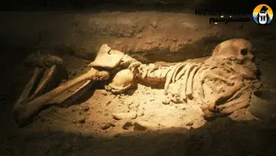 اسکلت مادر و جنین 4000 ساله سمنان