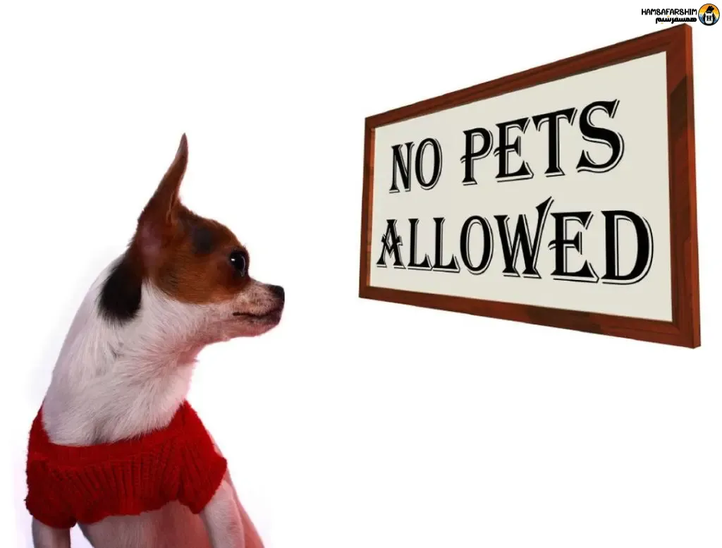 نبردن حیوانات خانگی درون هتل‌های ممنوعه