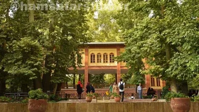 باغ ایرانی تهران، محله ده ونک