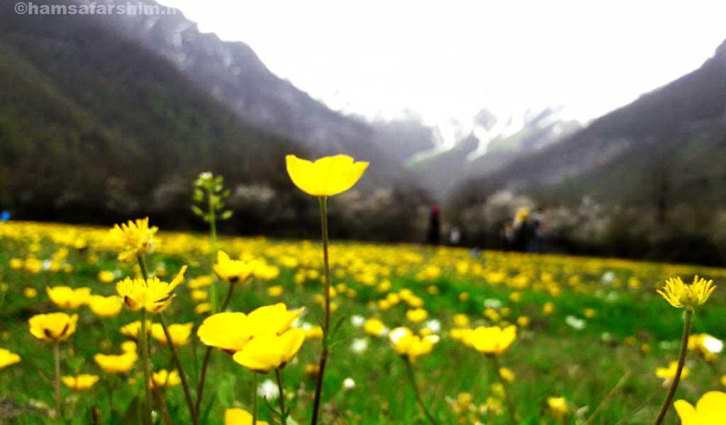 دشت بهاری ایران