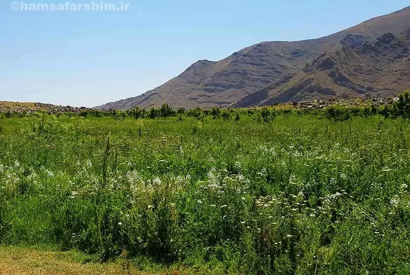 طبیعت روستای افجه