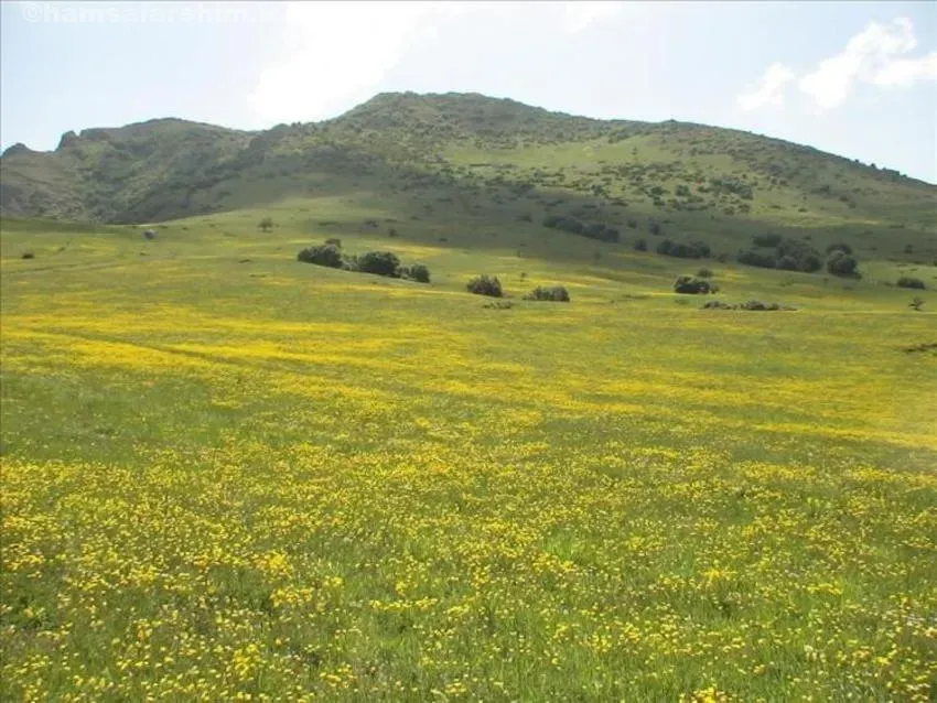 نکات سفر به دیلمان