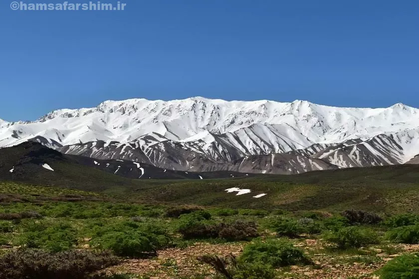 قالی کوه