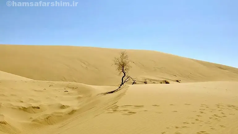 کویر مرنجاب