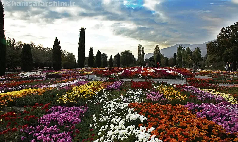 باغ گیاه شناسی