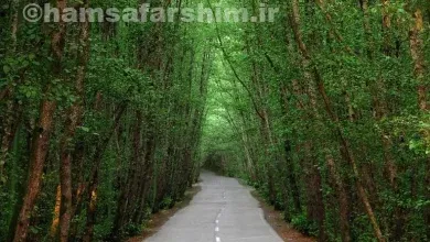 جاده اسالم به خلخال