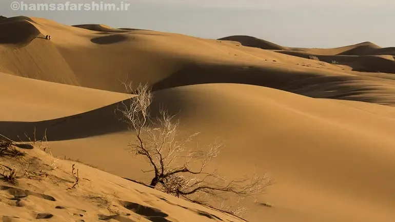 کویر مرنجاب