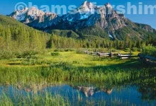 بهترین جنگل های ایران