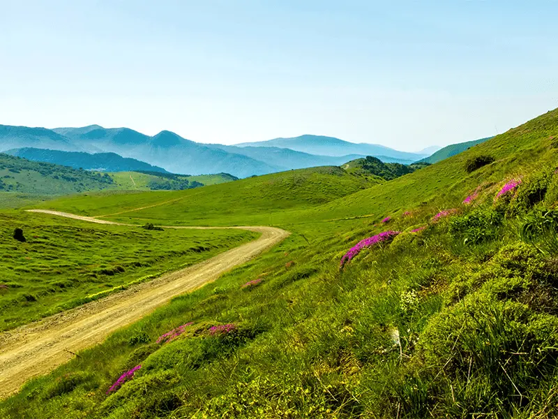 روستای شهسوارک و باغ‌های گردو