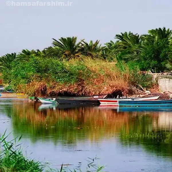 تالاب شادگان خوزستان