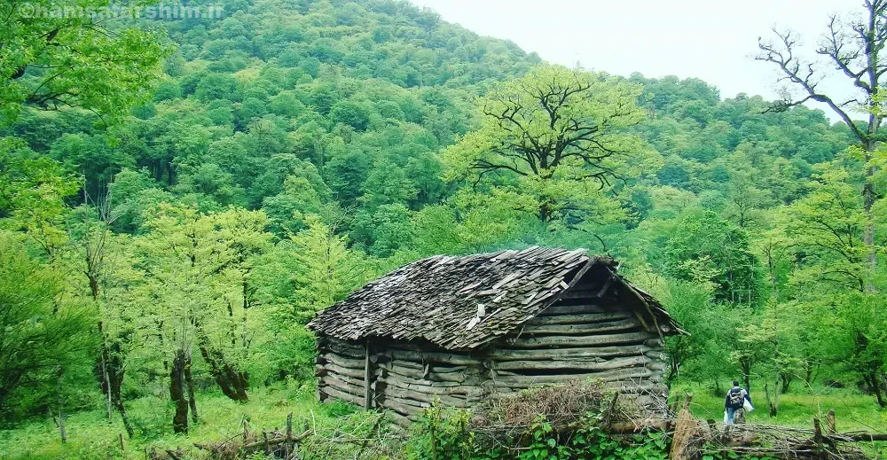 سفر به شمال ایران و رامسر