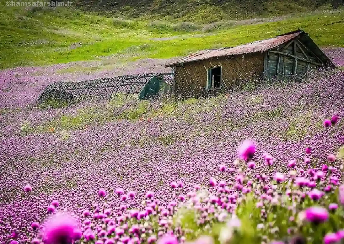 طبیعت ایران در تابستان