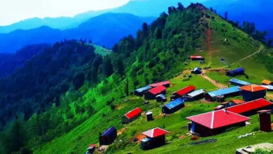 بام سبز ماسال