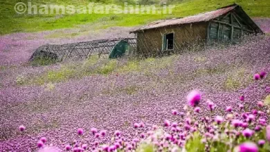 طبیعت ایران در تابستان
