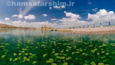 دریاچه سراب نیلوفر استان کردستان