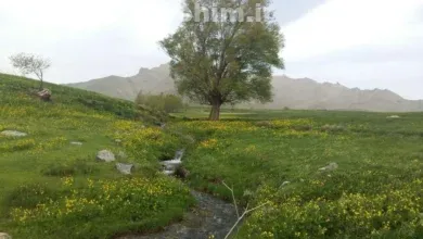 معرفی کوه بدر