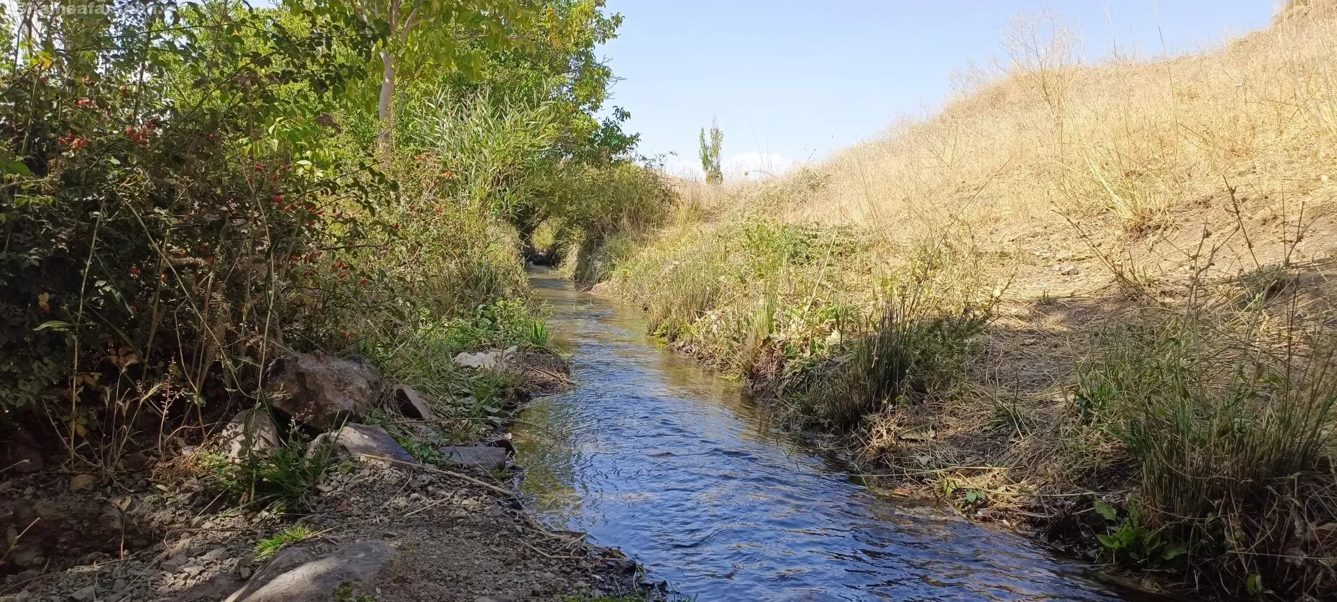 چشمه سراب نران کردستان