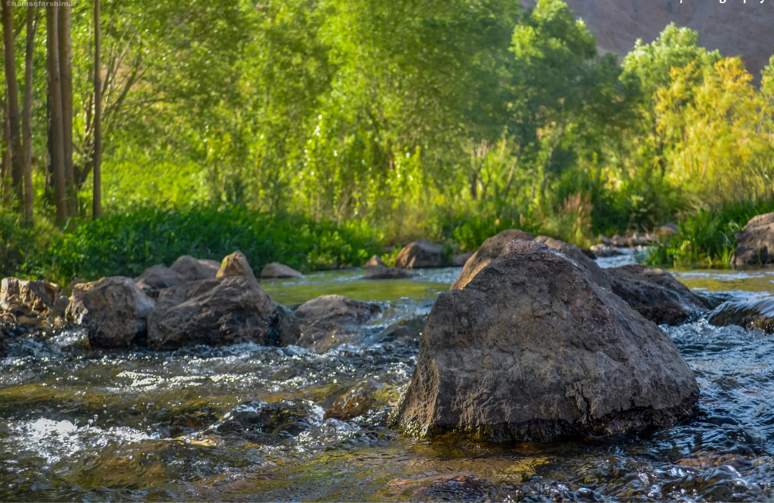 سراب سیری جان زیبا