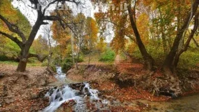 غار دره انجیری در استان خوزستان