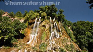 بیشه استان خوزستان