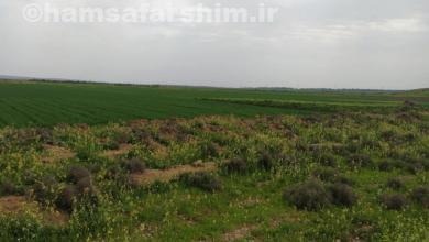 روستای ام دبس در استان خوزستان | آدرس + تصاویر