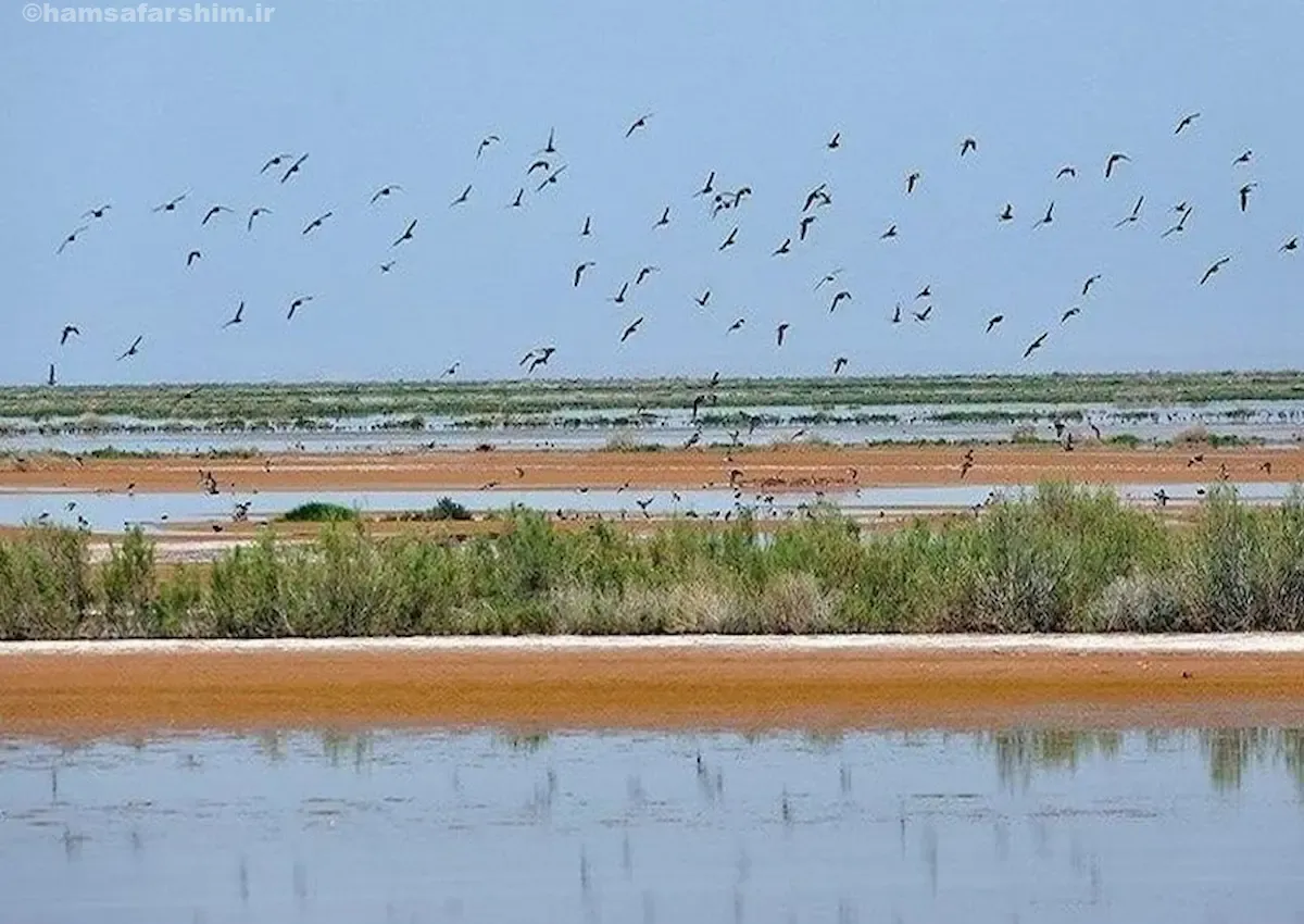 تالاب مره