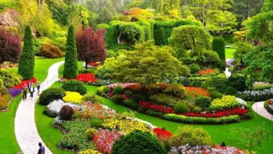 باغ گل کرمانشاه کجاست؟