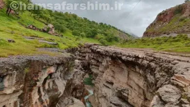 تنگه رازیانه کجای کرمانشاه است؟