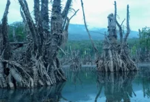 دریاچه ارواح نوشهر