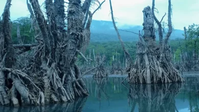 دریاچه ارواح نوشهر