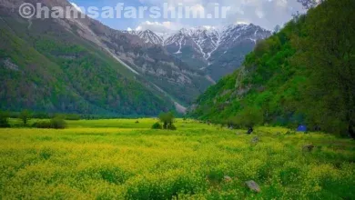 دشت دریاسر تنکابن