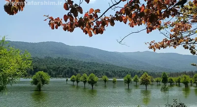 پوشش گیاهی اطراف دریاچه الندان