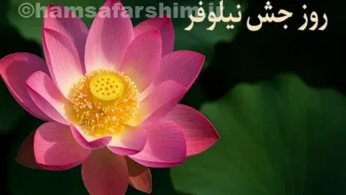 جشن نیلوفر