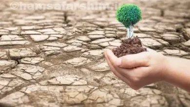 روز جهانی بیابان‌زدایی