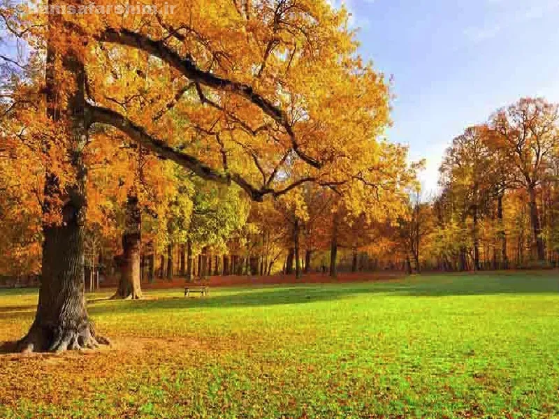 پارک جنگلی سراوان؛ جایی برای قایقسواری، پینتبال و آرامش در دل طبیعت