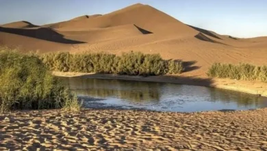 تالاب پساب یزد