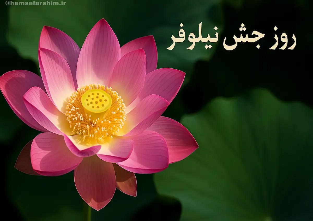 جشن نیلوفر