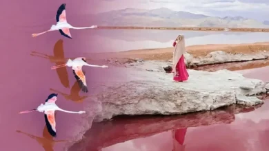 دریاچه مهارلو شیراز