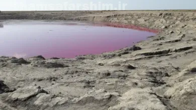 گُلفشان نفتلیجه گمیشان