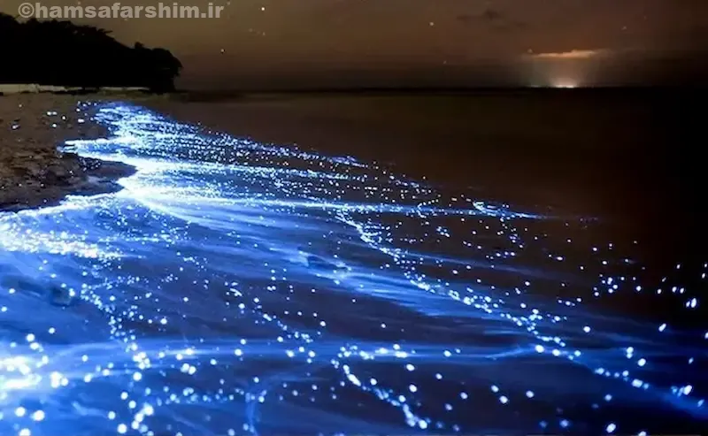 درخشش دیدنی ساحل نقره‌ای هنگام در زیر نور آفتاب