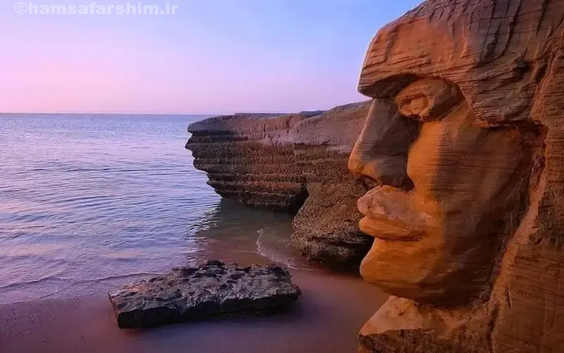 درخشش موجودات میکروسکوپی شب‌تابی در آب