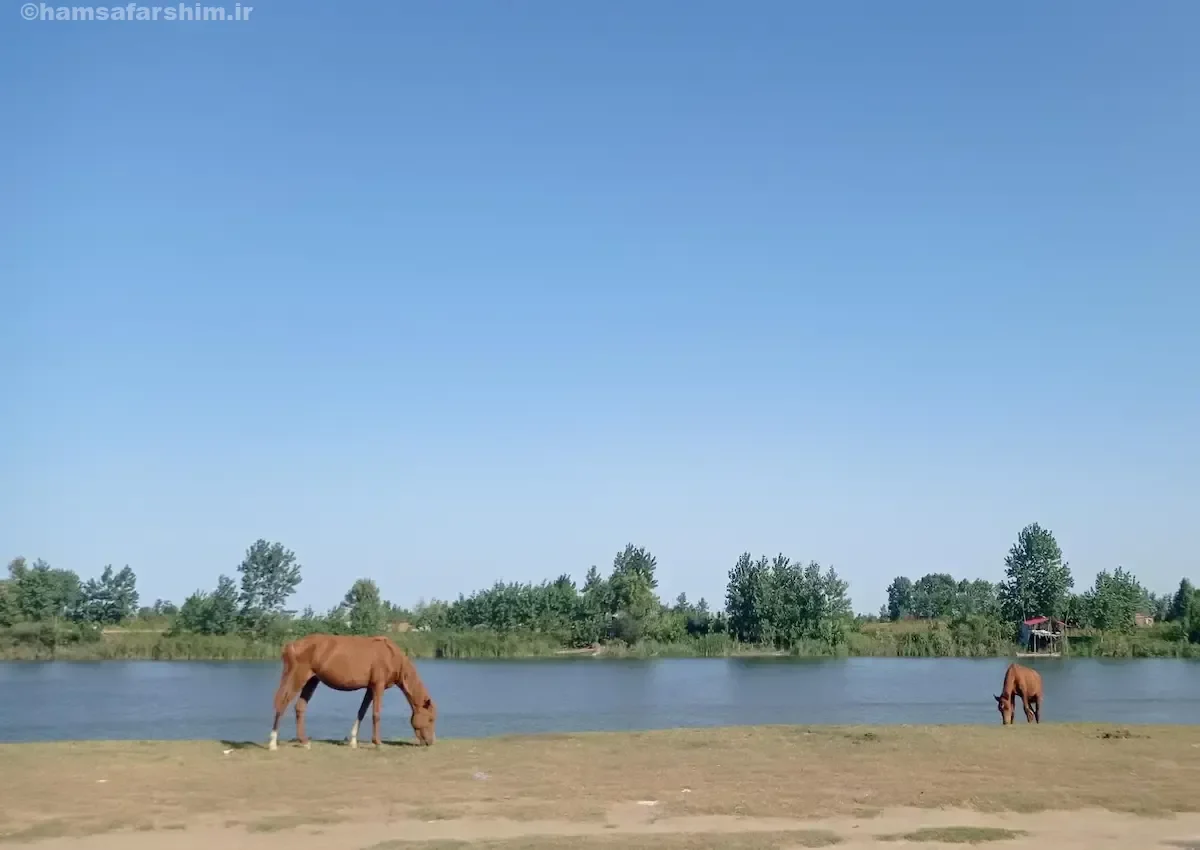 پارک ملی بوجاق