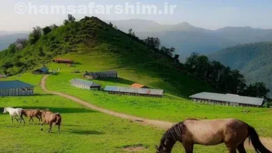 اولسبلنگاه ماسال