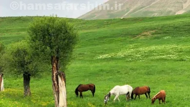 روستاهای اطراف تهران