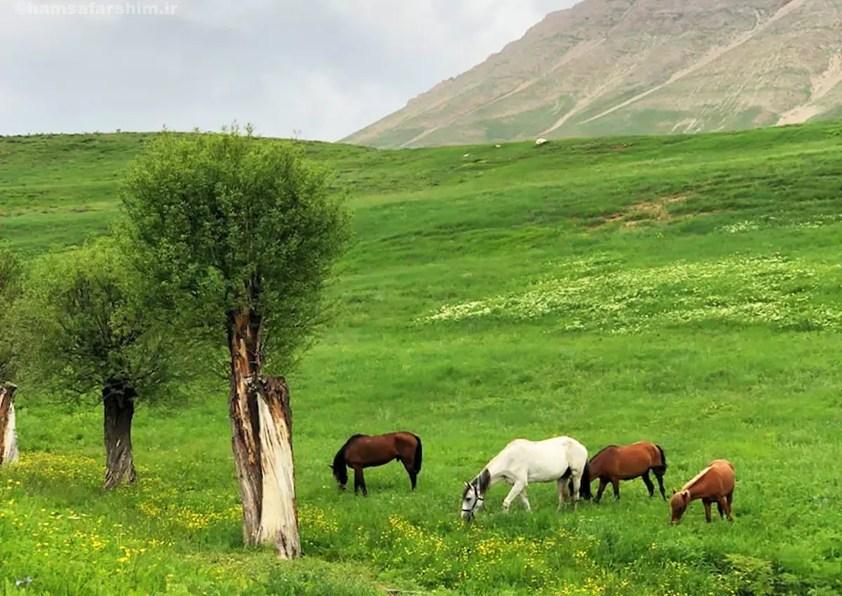 روستاهای اطراف تهران
