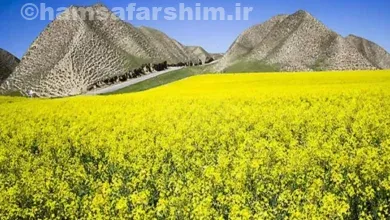 سفر به ترکمن صحرا مخملی ترین دشت ایران