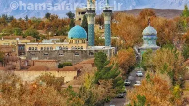 شهر راین کرمان