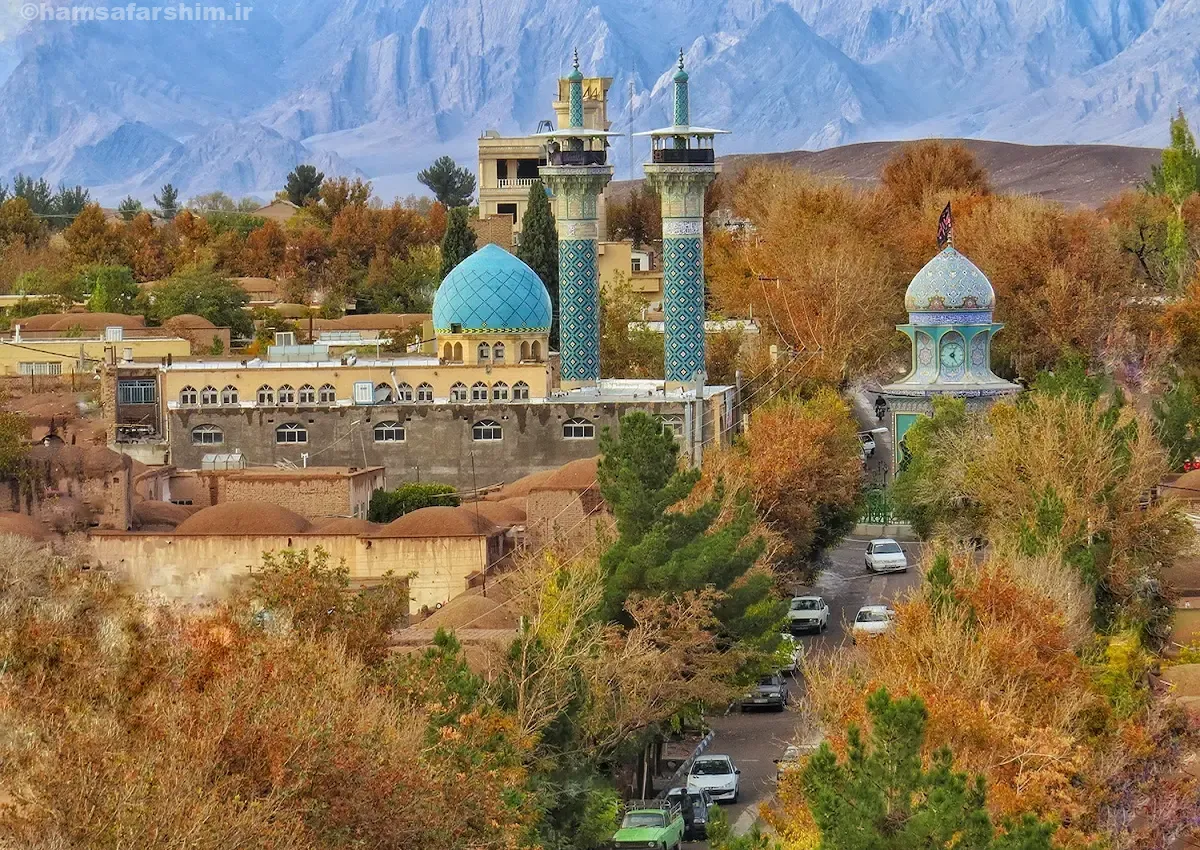 شهر راین کرمان