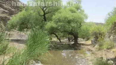 چشمه آب گرماب فیروزه